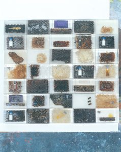 Bee Resin Casts by Charlie Millar
